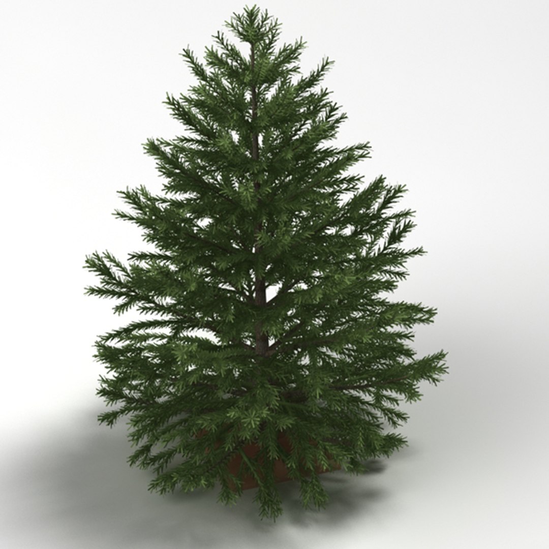 christmas tree 3d 3ds https://p.turbosquid.com/ts-thumb/2q/62sMCN/3tjLteKM/02/jpg/1356943505/1920x1080/fit_q87/1398e6a7be4f9e4bb072c90d9102e4102cc39ede/02.jpg
