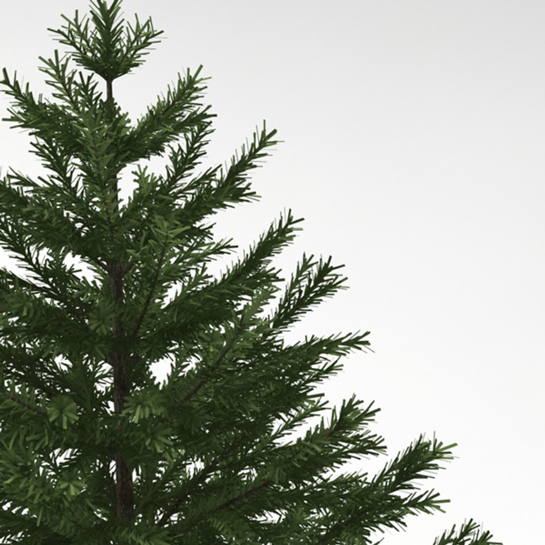 christmas tree 3d 3ds https://p.turbosquid.com/ts-thumb/2q/62sMCN/FnQLlcC3/05/jpg/1356943505/1920x1080/fit_q87/76bd1ddcc10b57dddf486a8ea6aee427a73a3454/05.jpg