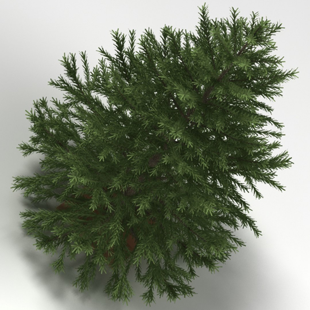 christmas tree 3d 3ds https://p.turbosquid.com/ts-thumb/2q/62sMCN/XZKdv6dI/03/jpg/1356943505/1920x1080/fit_q87/e9f21f0dd6d1a3f9f49eda112152847c0a09669c/03.jpg