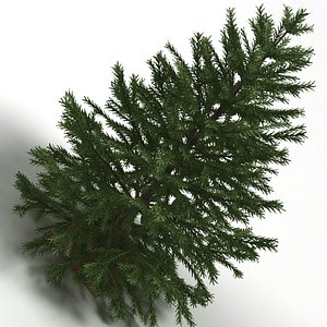 christmas tree 3d 3ds