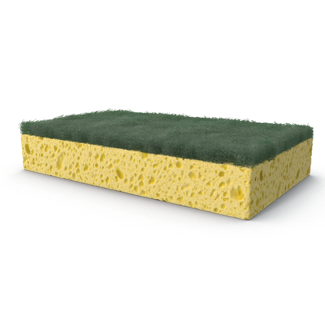Sponge Cleaning 3d Max
