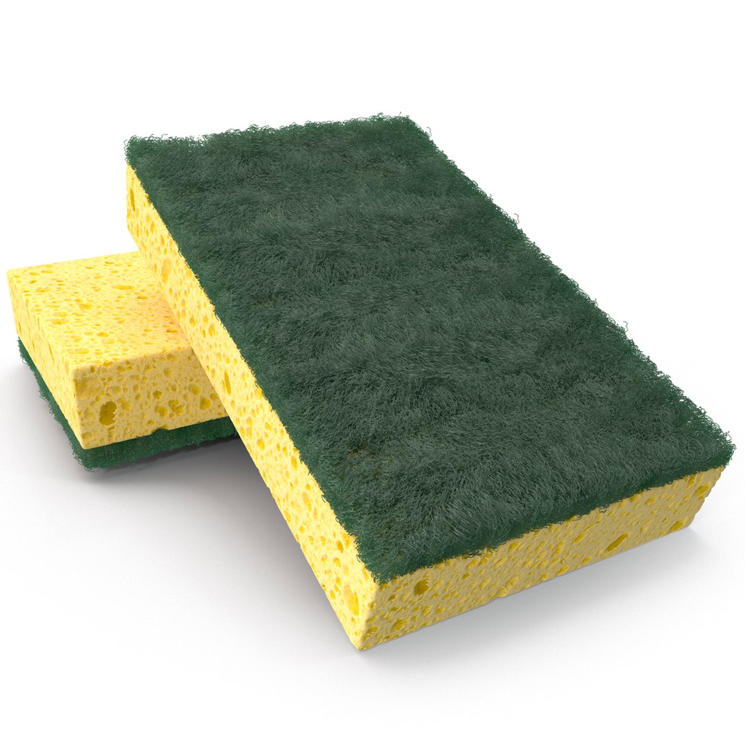 sponge cleaning 3d max