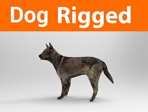 german shepherd dog rigged model