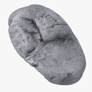Sea Shore Stone 29