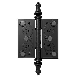 Door Hinge 1