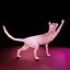 Il gatto saluta Low Poly