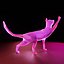 Il gatto saluta Low Poly