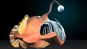 Angler Fish
