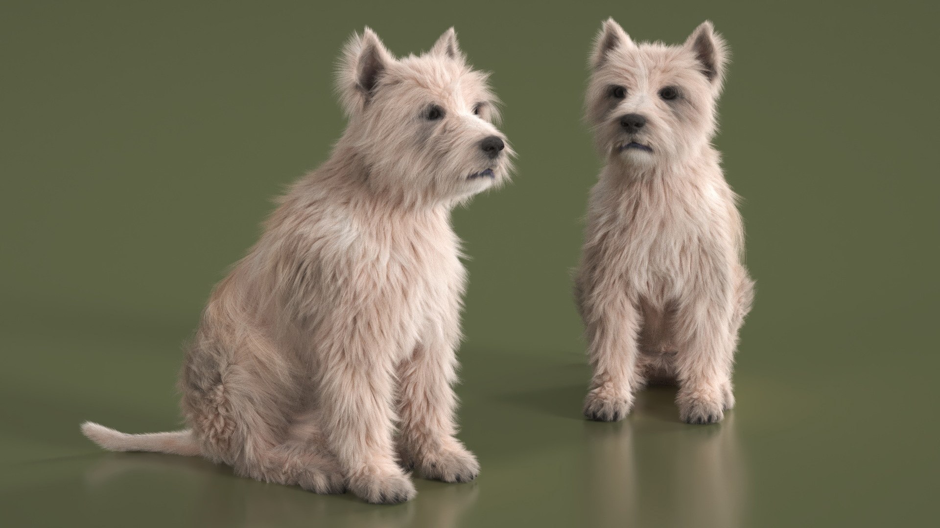 Mongrel Dog Cream Fur Rigged 3D model https://p.turbosquid.com/ts-thumb/2q/oluQwF/r6/mongrel_dog_cream_fur_rigged_007/jpg/1748383804/1920x1080/fit_q87/070c6e77efcd83238cc462e78080df9c68087253/mongrel_dog_cream_fur_rigged_007.jpg