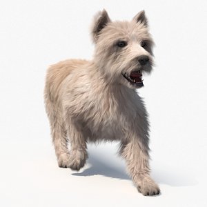 Mongrel Dog Cream Fur Rigged