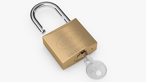 Lock and Padlock Bundle