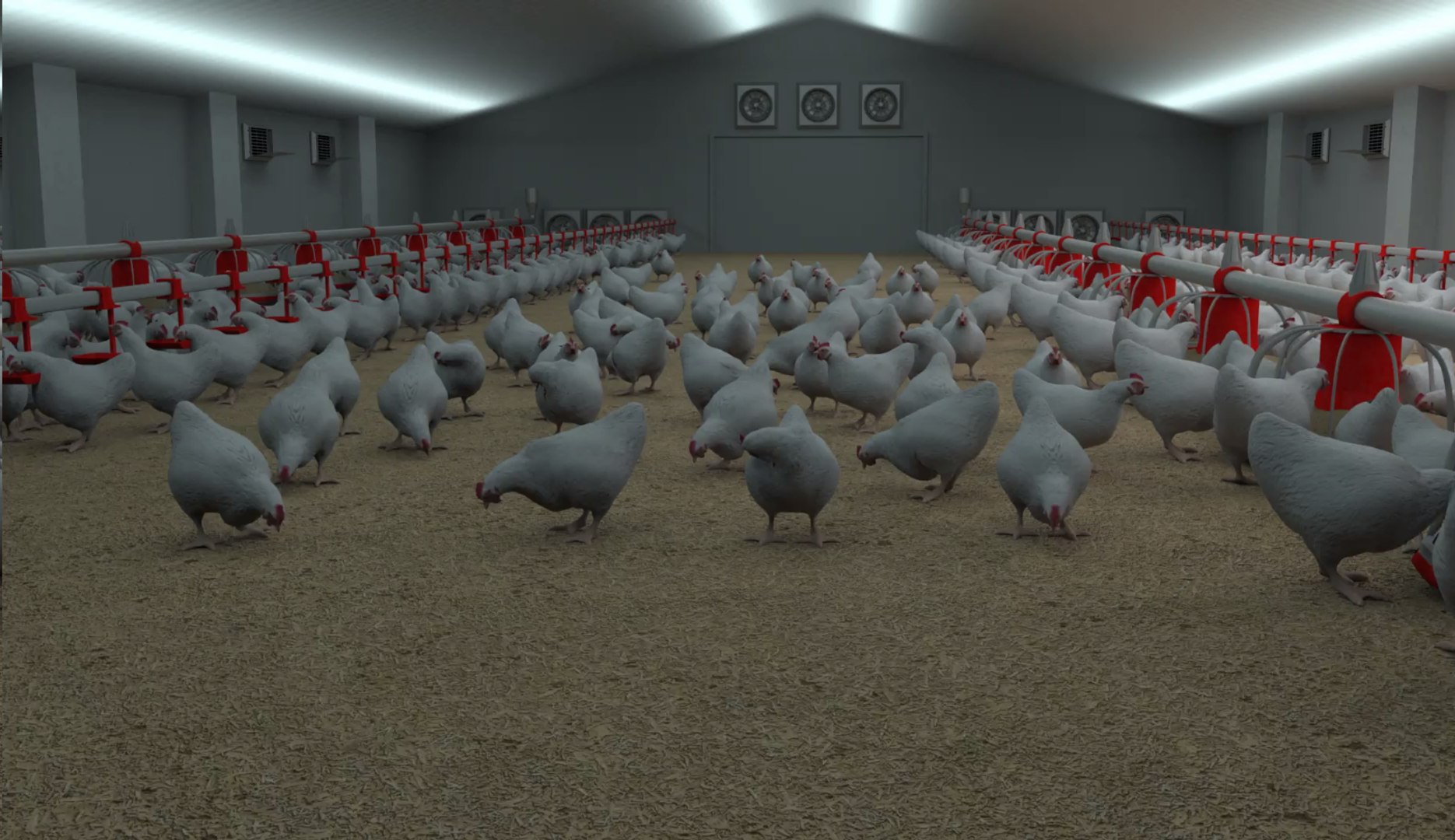 3D Chickens Poultry Farm - TurboSquid 1596380