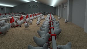 3D chickens poultry farm