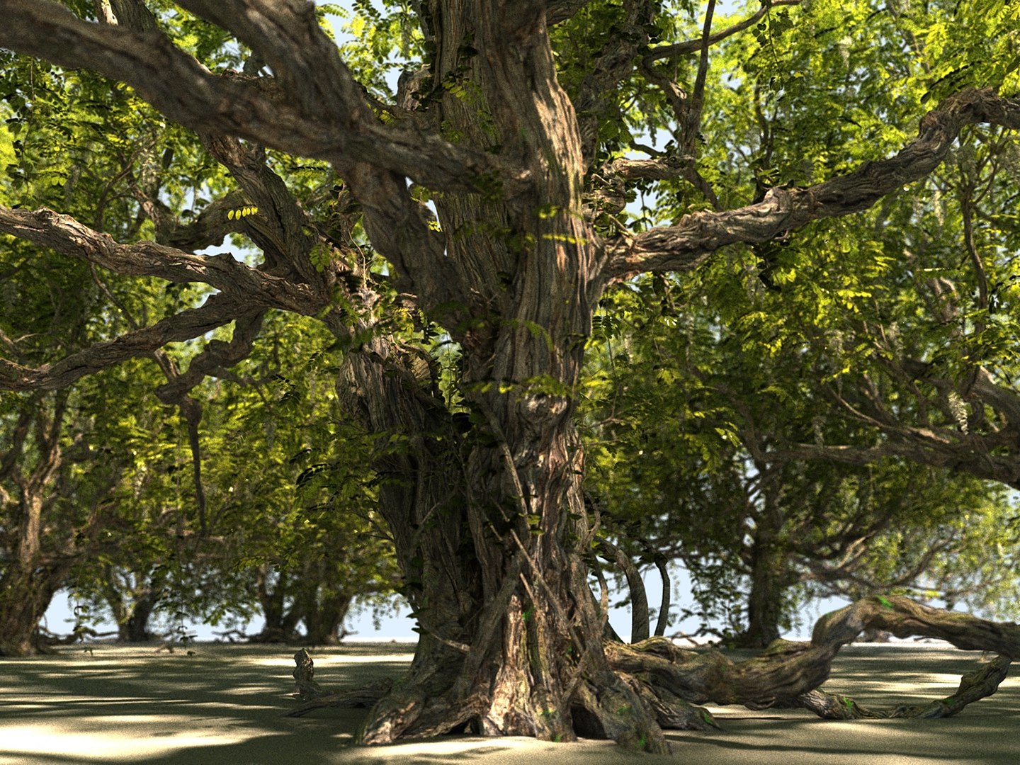 Ultimate European Forest Mediterranean Tree Pack 3D - TurboSquid 2533462