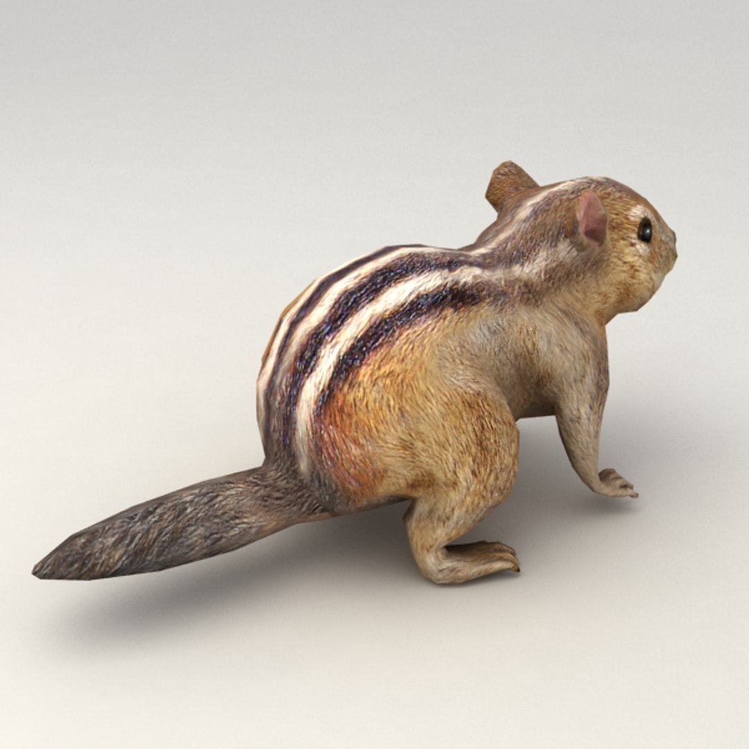 Rigged Chipmunk 3d Obj