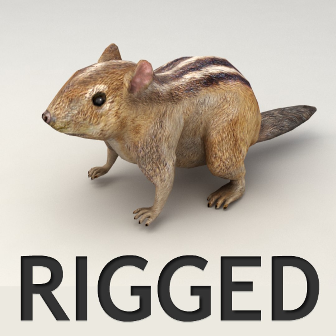 Rigged Chipmunk 3d Obj