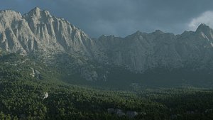 3D 30 Montane Forest Landscapes