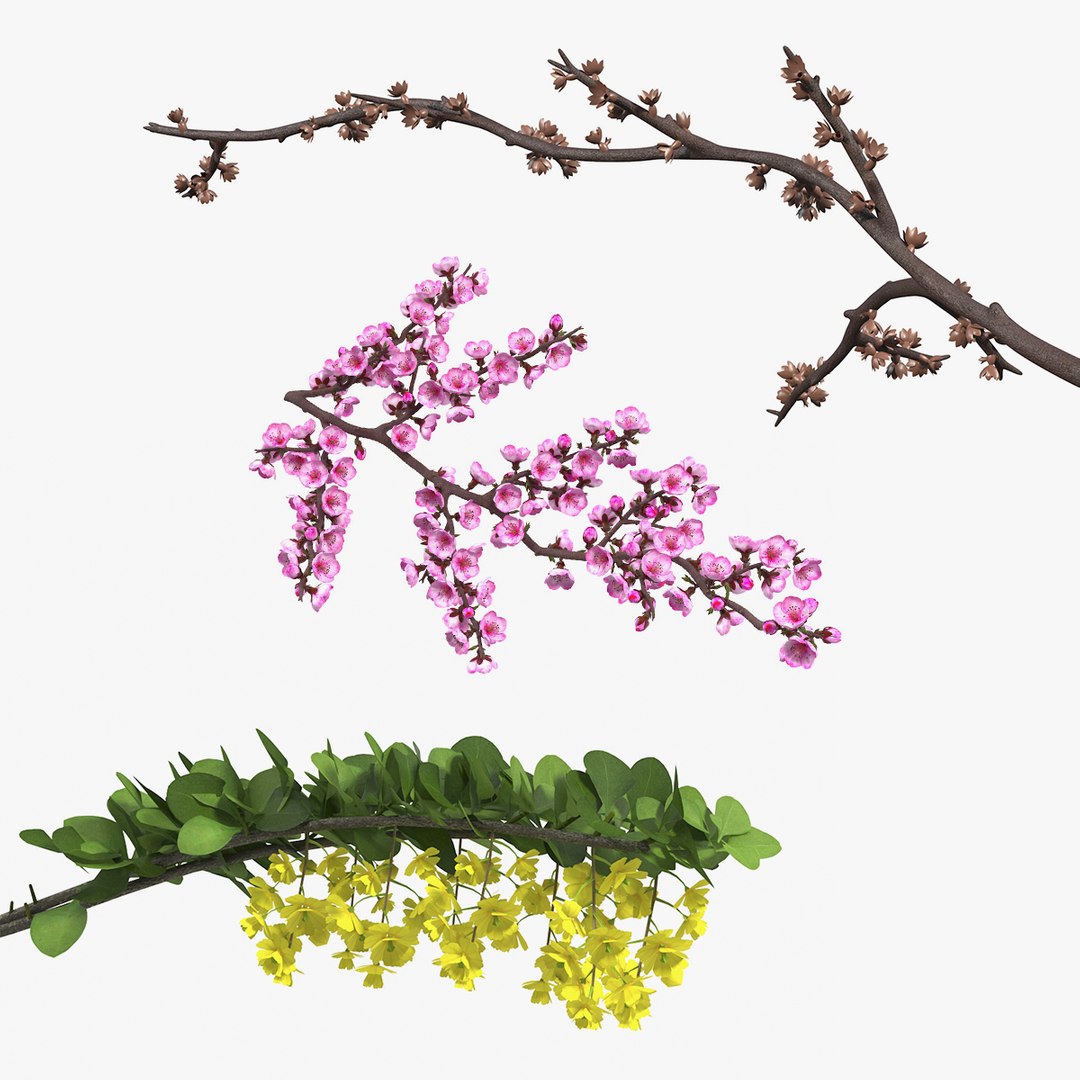 Branches Collection 3D model preview