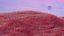 3D models 3D creative design natural scenery