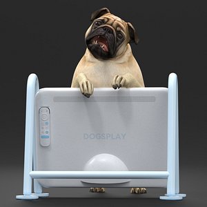 Pug Dog Watching Dogsplay TV Rigged 3D model