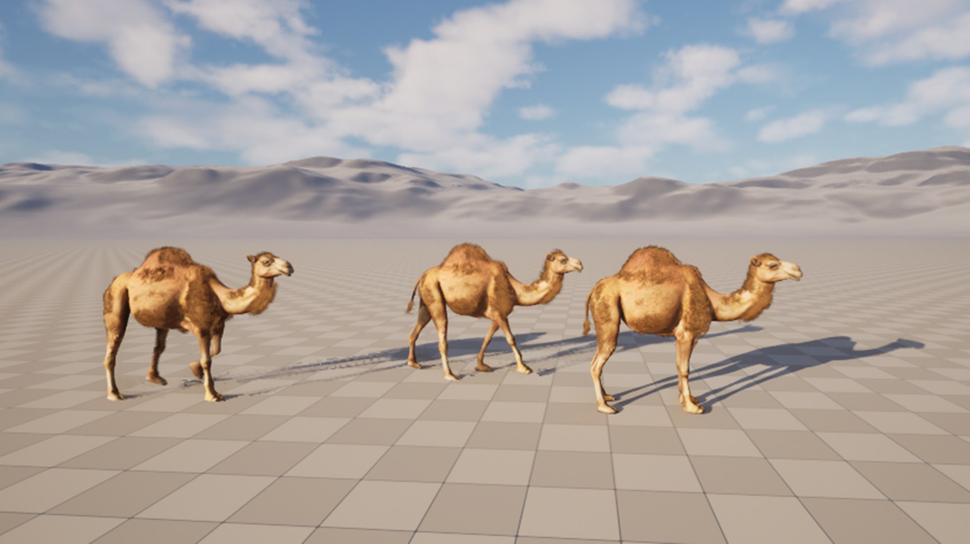 3D Low Poly Animated Camel with Hair  Fur model https://p.turbosquid.com/ts-thumb/2r/HkmRgI/8L/11/png/1773264046/1920x1080/fit_q87/c437c8b1ff48756924929684ac6587c68b5670e3/11.jpg