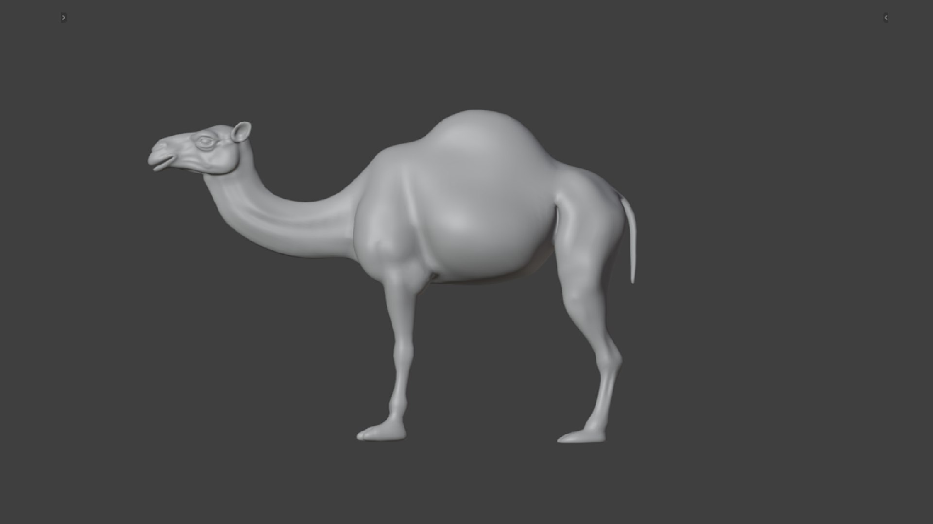 3D Low Poly Animated Camel with Hair  Fur model https://p.turbosquid.com/ts-thumb/2r/HkmRgI/FK/camel11/png/1754606034/1920x1080/fit_q87/97982d55f09e8d023463f0126e76004955e180de/camel11.jpg