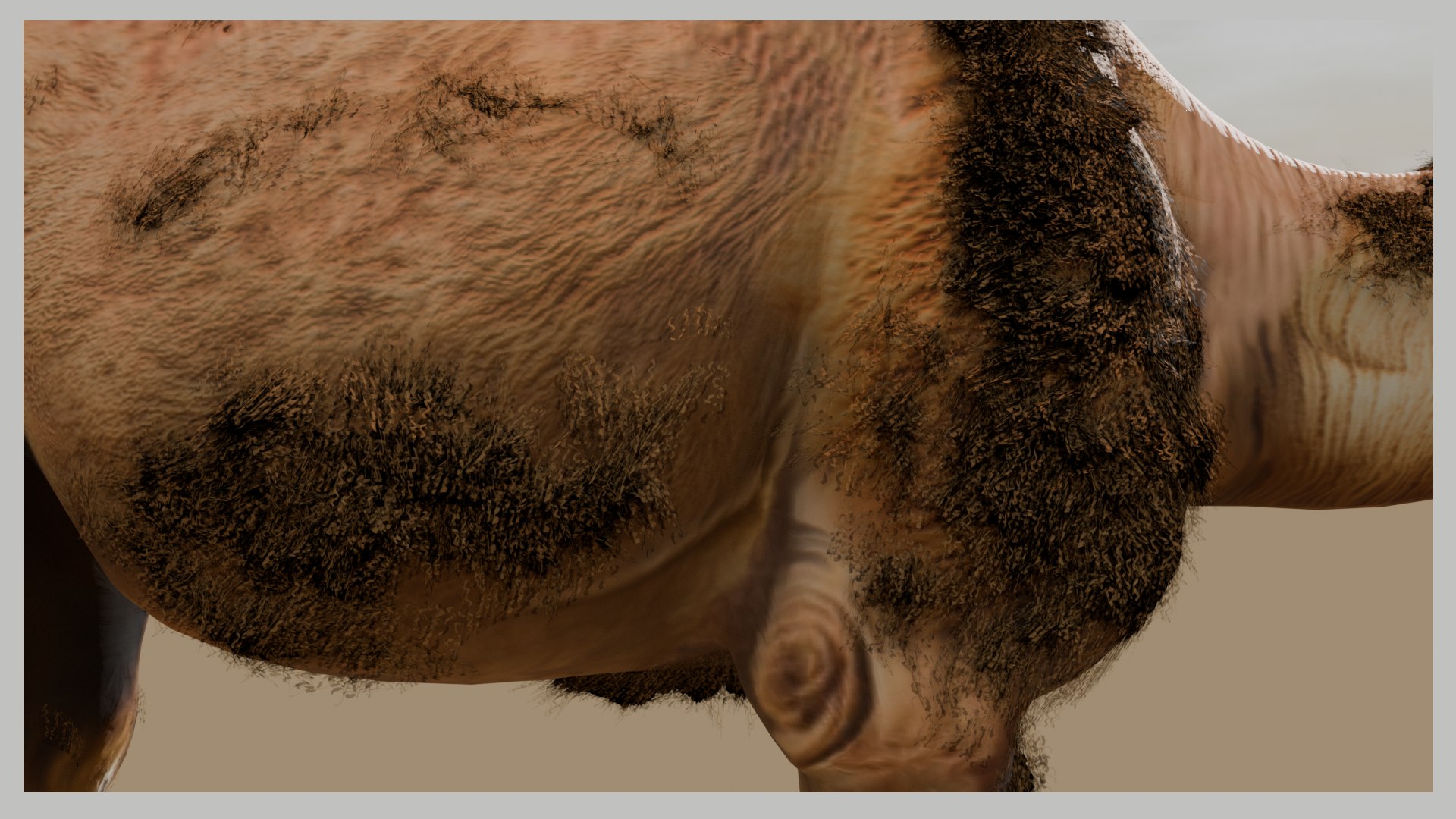 3D Low Poly Animated Camel with Hair  Fur model https://p.turbosquid.com/ts-thumb/2r/HkmRgI/fD/camel8/png/1754606037/1920x1080/fit_q87/83f0069a662b4cc64266c9756c8728ed4668c32c/camel8.jpg