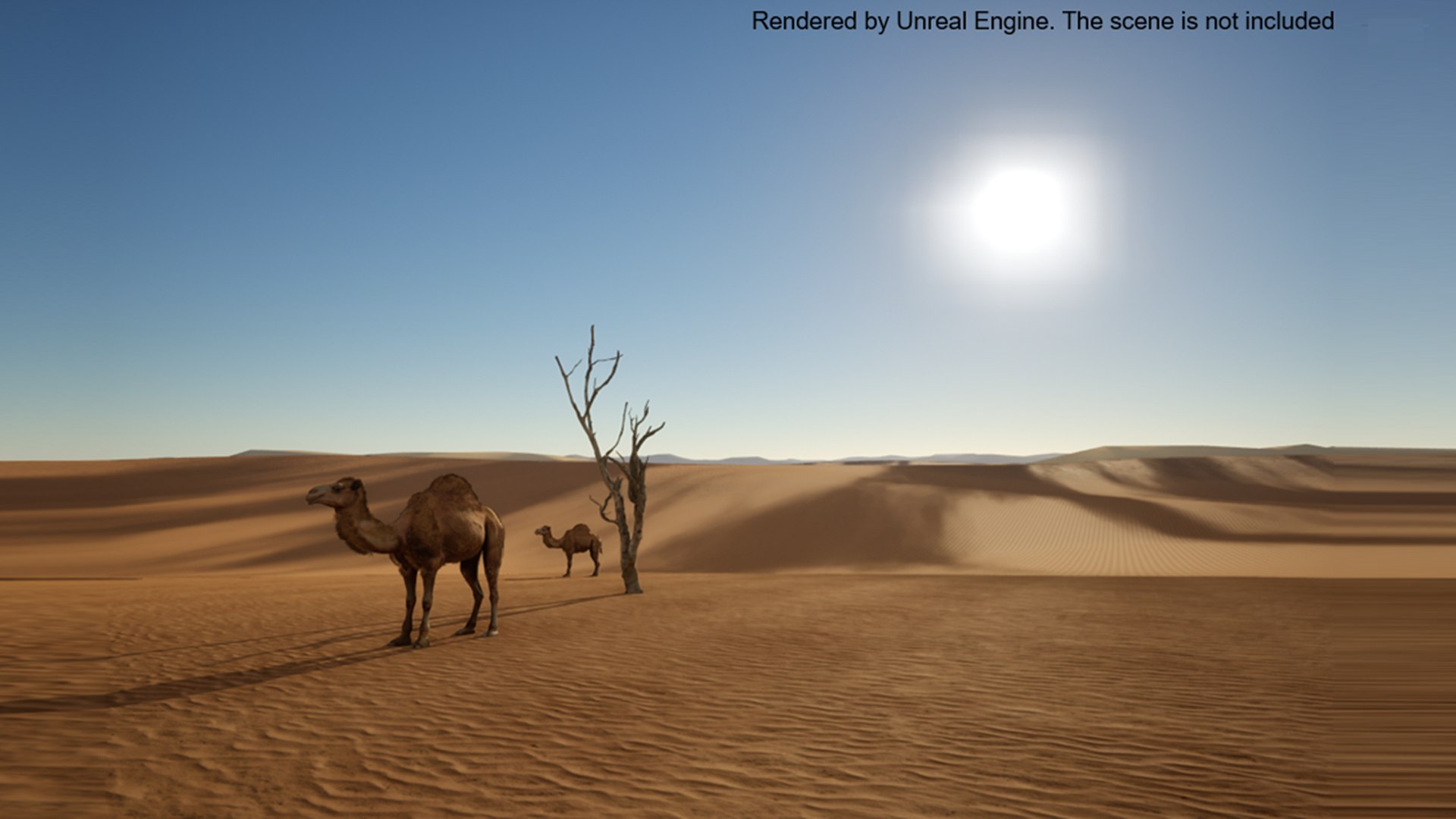 3D Low Poly Animated Camel with Hair  Fur model https://p.turbosquid.com/ts-thumb/2r/HkmRgI/yh/camel_desert/png/1764964393/1920x1080/fit_q87/f2feda626bd2614d8f20e8b1e8ca0734213e6c62/camel_desert.jpg