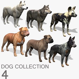 Dog Collection (4)