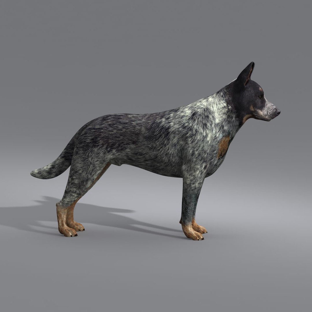 dog 4 3d model