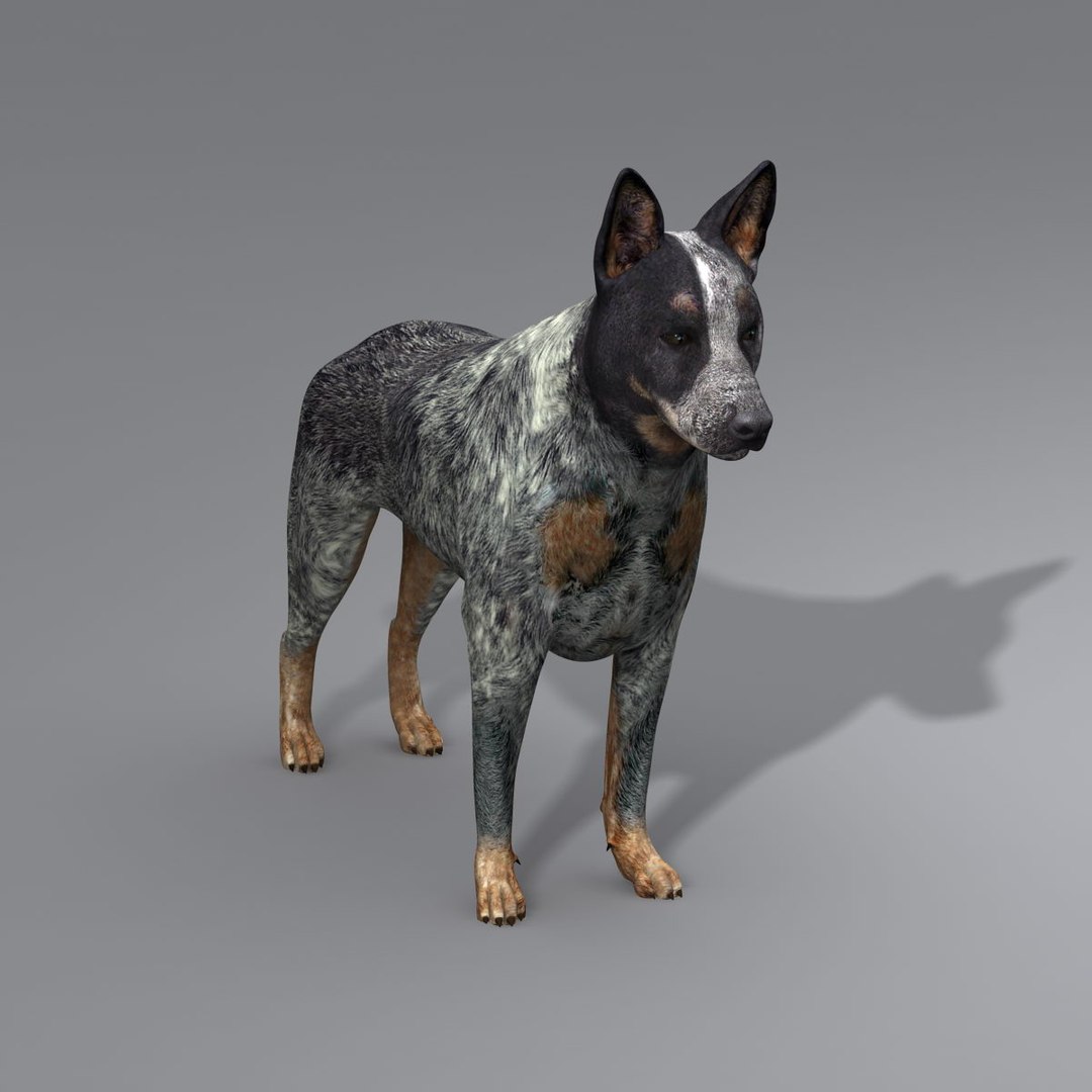 dog 4 3d model