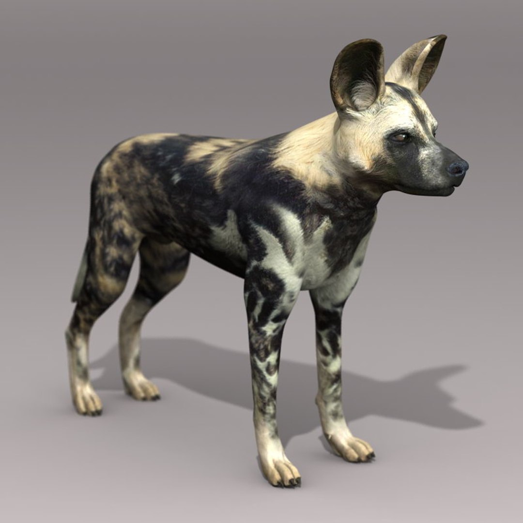 dog 4 3d model