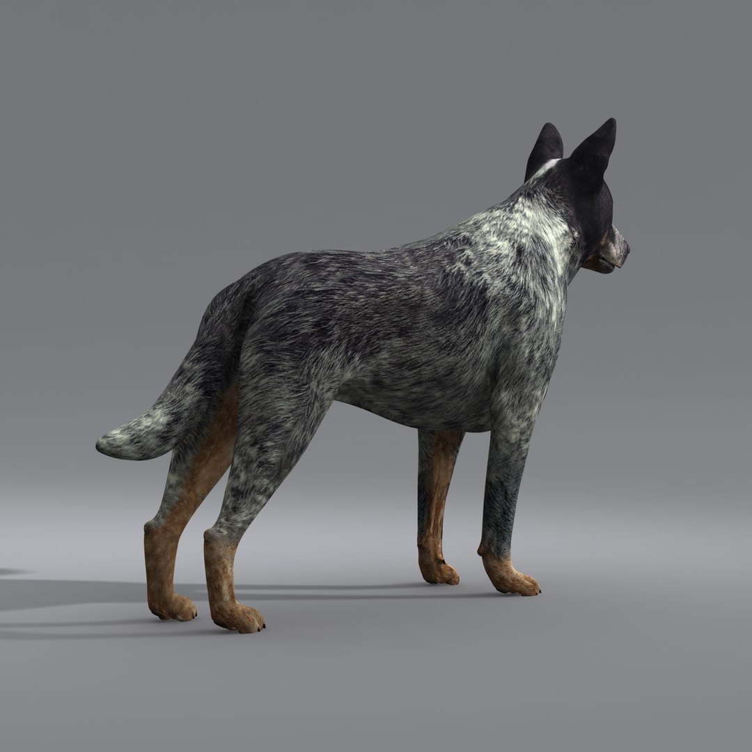 dog 4 3d model