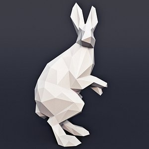 hare 3D