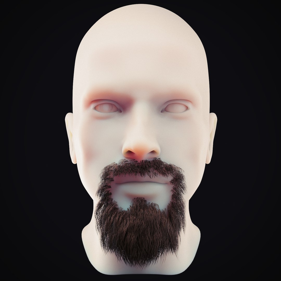 Beard 2 Model - TurboSquid 1489615