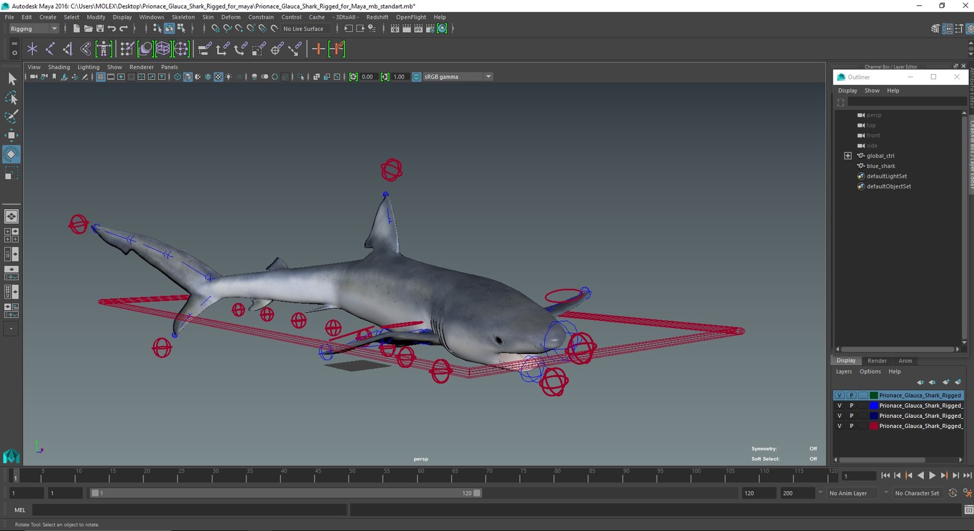 3D Prionace Glauca Shark Rigged for Maya model https://p.turbosquid.com/ts-thumb/2r/Vj6n8M/MM/prionaceglaucasharkriggedformayamb3dmodel039/jpg/1725068406/1920x1080/fit_q87/0f429025f5b5612ad4fd5353588747010764e5ee/prionaceglaucasharkriggedformayamb3dmodel039.jpg