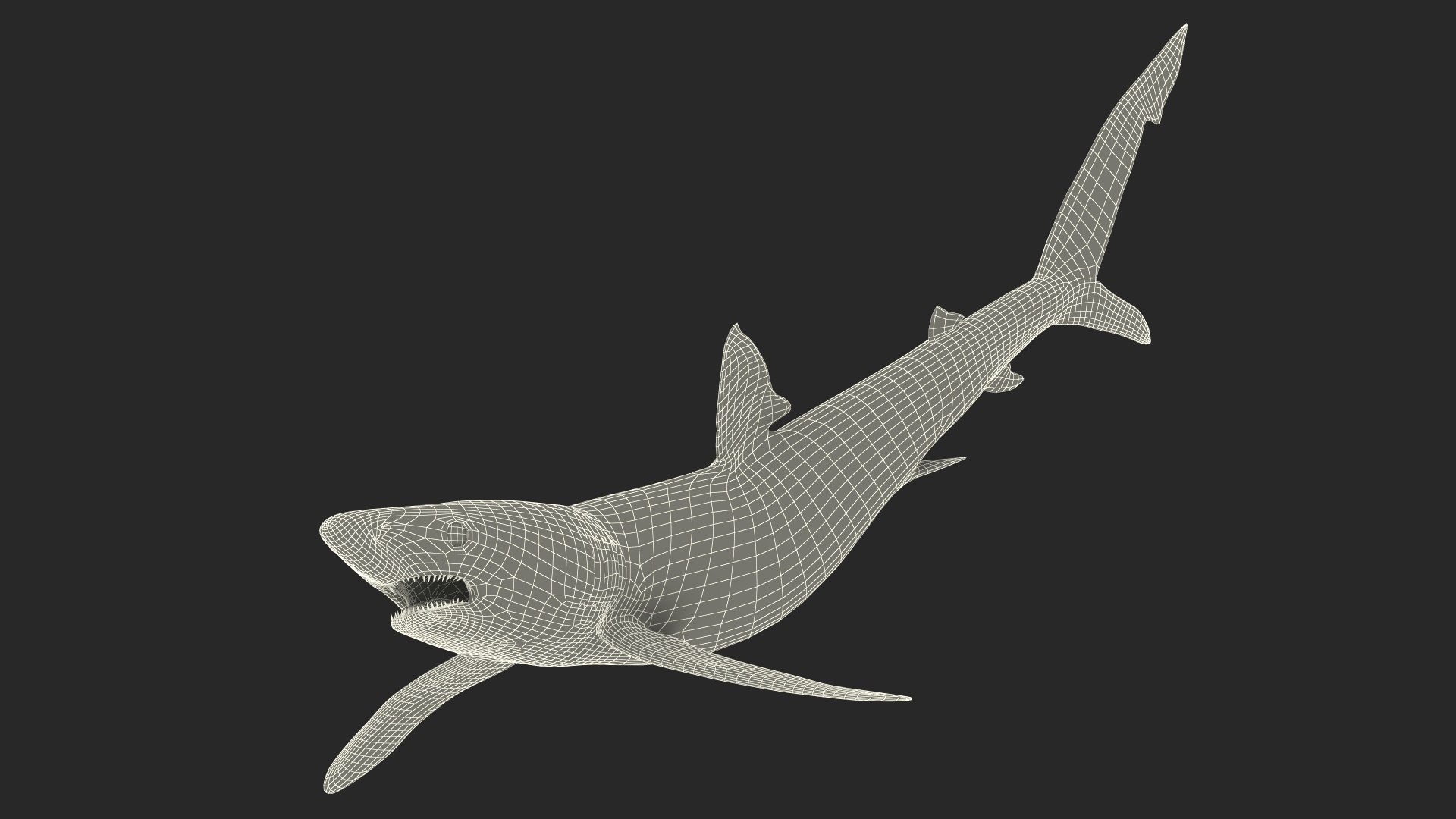3D Prionace Glauca Shark Rigged for Maya model https://p.turbosquid.com/ts-thumb/2r/Vj6n8M/Nc/prionaceglaucasharkriggedformayamb3dmodel024/jpg/1725068360/1920x1080/fit_q87/65162c0476baabd8230e6e24f853e70fc72d436e/prionaceglaucasharkriggedformayamb3dmodel024.jpg