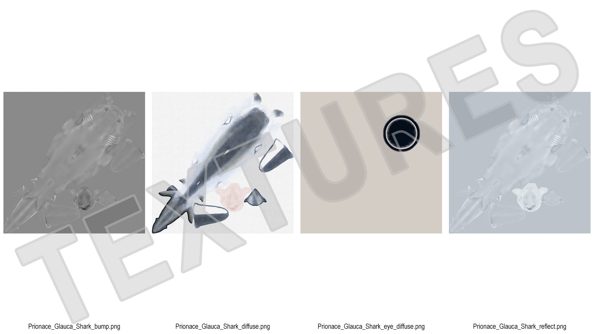 3D Prionace Glauca Shark Rigged for Maya model https://p.turbosquid.com/ts-thumb/2r/Vj6n8M/V4/prionaceglaucasharkriggedformayamb3dmodel022/jpg/1725068350/1920x1080/fit_q87/78a2f8e76cf0e0f5f8d19e2a0d9c8d0aee21e725/prionaceglaucasharkriggedformayamb3dmodel022.jpg