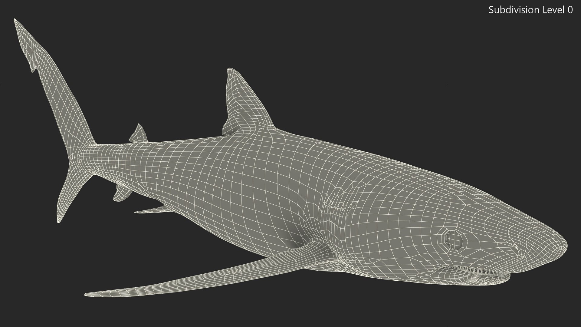 3D Prionace Glauca Shark Rigged for Maya model https://p.turbosquid.com/ts-thumb/2r/Vj6n8M/g0/prionaceglaucasharkriggedformayamb3dmodel019/jpg/1725068335/1920x1080/fit_q87/a0fa7303174338f130270c41c45e9001fc101672/prionaceglaucasharkriggedformayamb3dmodel019.jpg