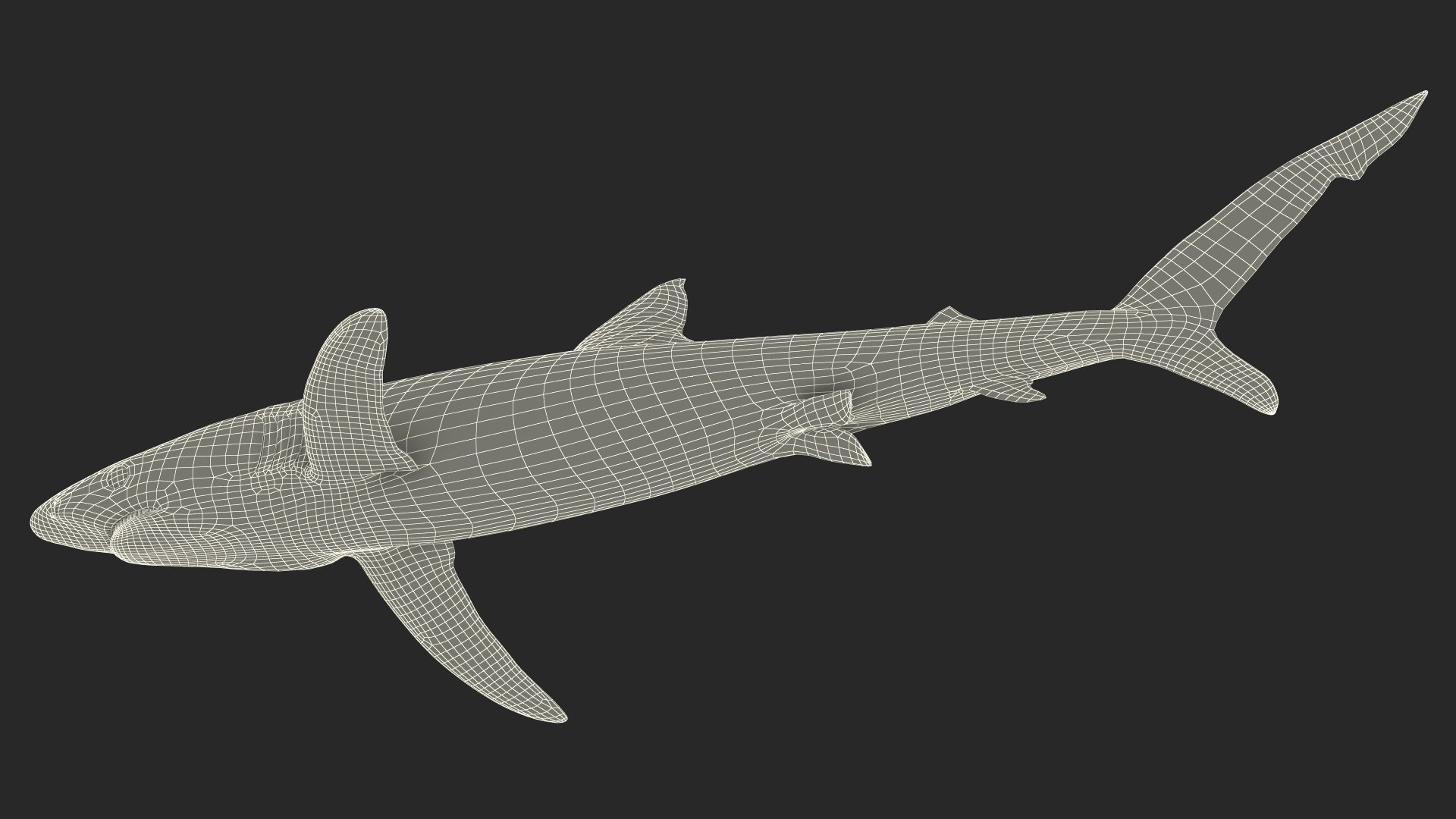 3D Prionace Glauca Shark Rigged for Maya model https://p.turbosquid.com/ts-thumb/2r/Vj6n8M/jV/prionaceglaucasharkriggedformayamb3dmodel025/jpg/1725068365/1920x1080/fit_q87/5b5ee71b0d3ec909544f1d1aaadcf7acc63fda28/prionaceglaucasharkriggedformayamb3dmodel025.jpg