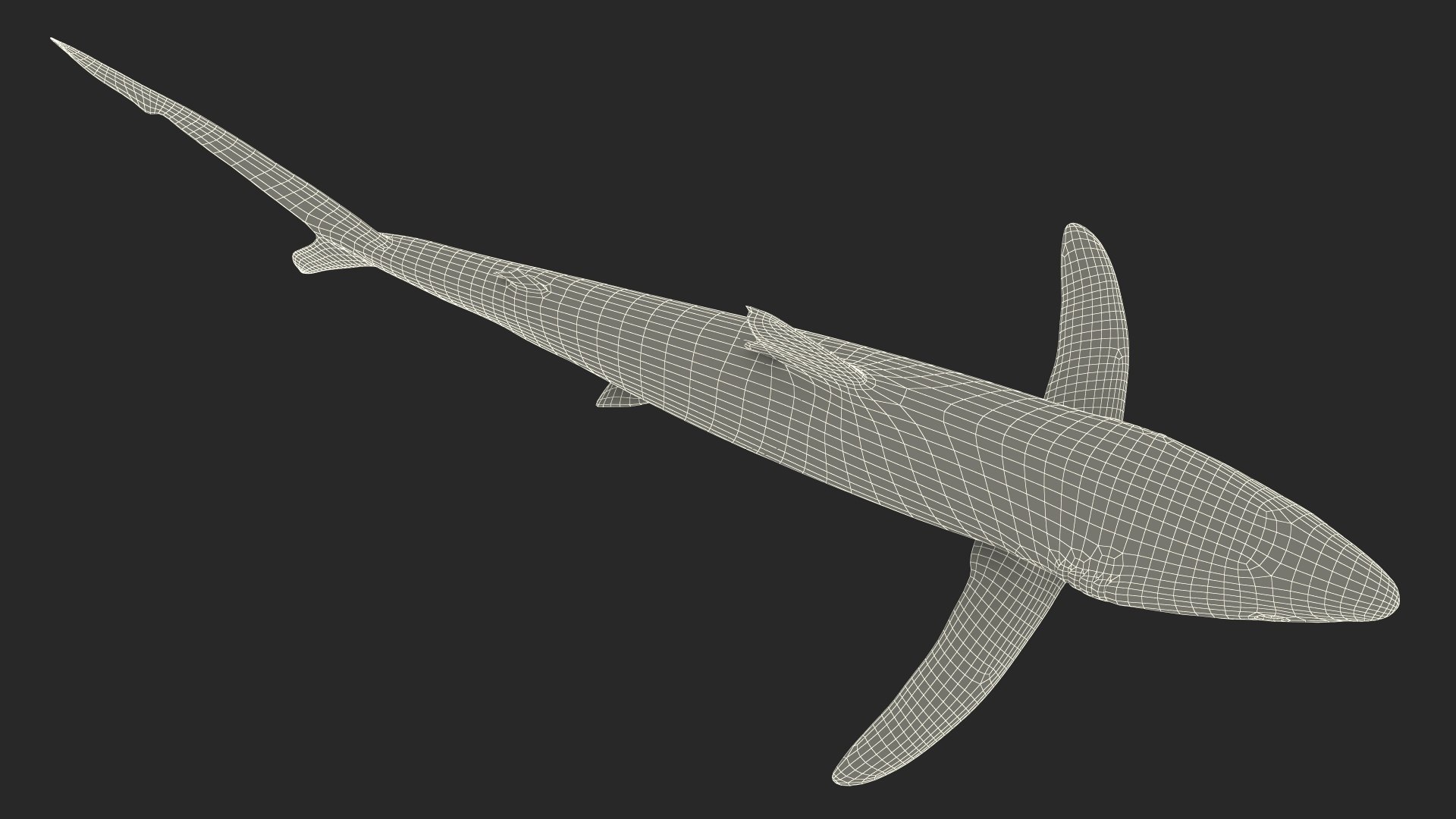 3D Prionace Glauca Shark Rigged for Maya model https://p.turbosquid.com/ts-thumb/2r/Vj6n8M/sI/prionaceglaucasharkriggedformayamb3dmodel026/jpg/1725068371/1920x1080/fit_q87/7866cd794f4303679d8f38753a1590a28cd5a0f4/prionaceglaucasharkriggedformayamb3dmodel026.jpg