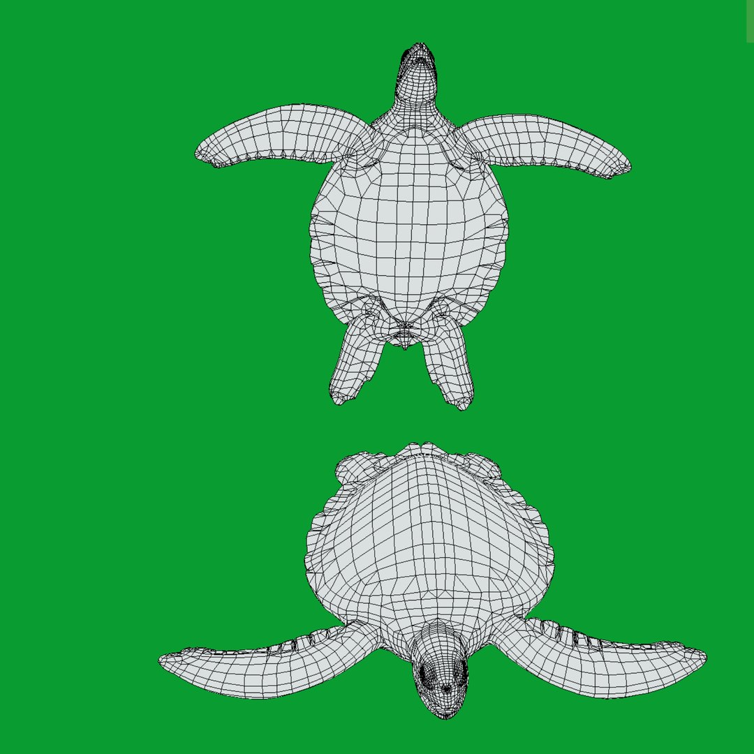 3D Marine Animals Pack https://p.turbosquid.com/ts-thumb/2r/iWFIce/ED/wire/png/1737888439/1920x1080/fit_q87/52c903081807bc2e302400485da1b423f3cadd25/wire.jpg
