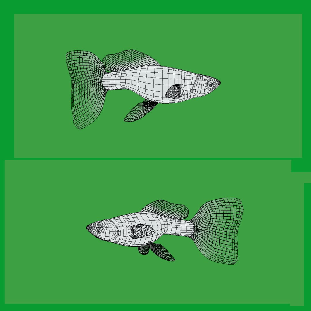 3D Marine Animals Pack https://p.turbosquid.com/ts-thumb/2r/iWFIce/IO/wire/png/1734898985/1920x1080/fit_q87/e7d40f2ddc48cec1ed1a0d010941fc0397785f29/wire.jpg