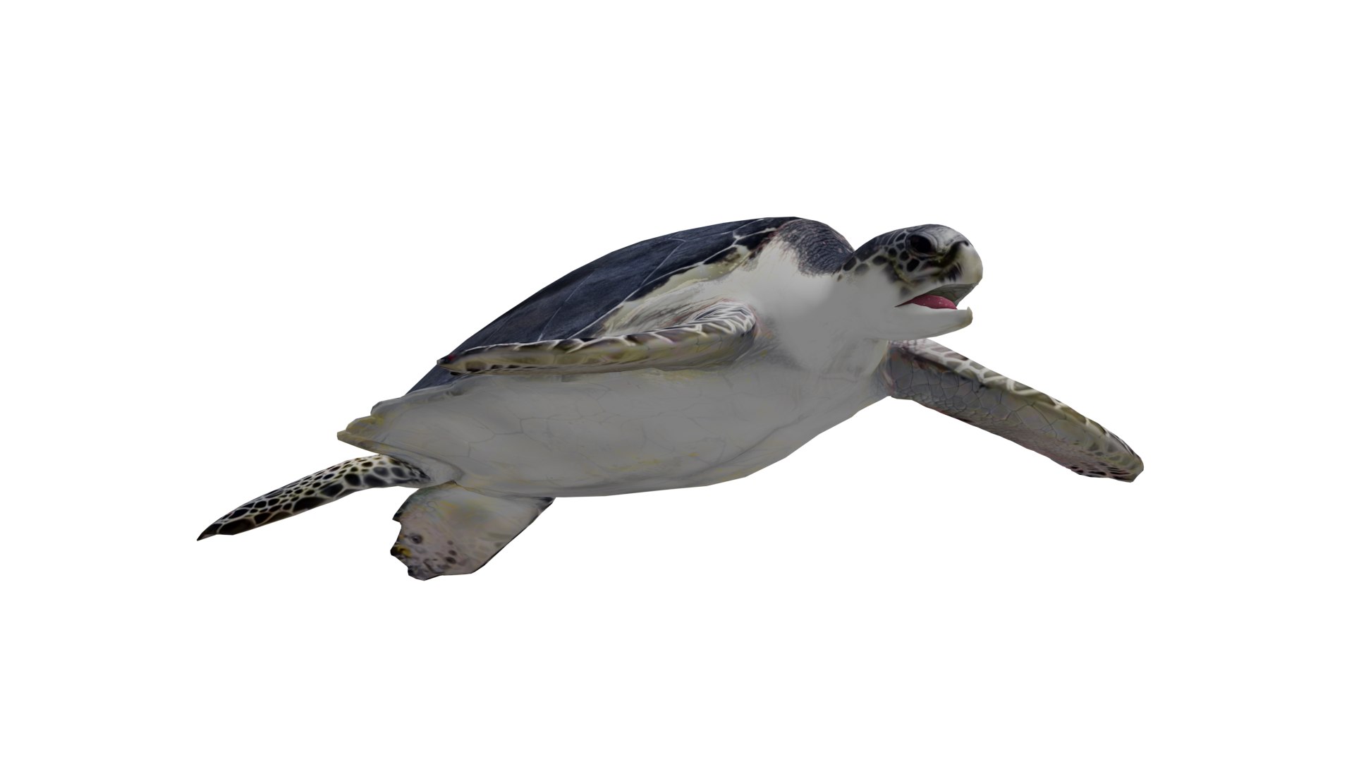 3D Marine Animals Pack https://p.turbosquid.com/ts-thumb/2r/iWFIce/JP/electric_eel/png/1741391920/1920x1080/fit_q87/10e4b0241bd67b77a1c1593af3248fdda804900f/electric_eel.jpg