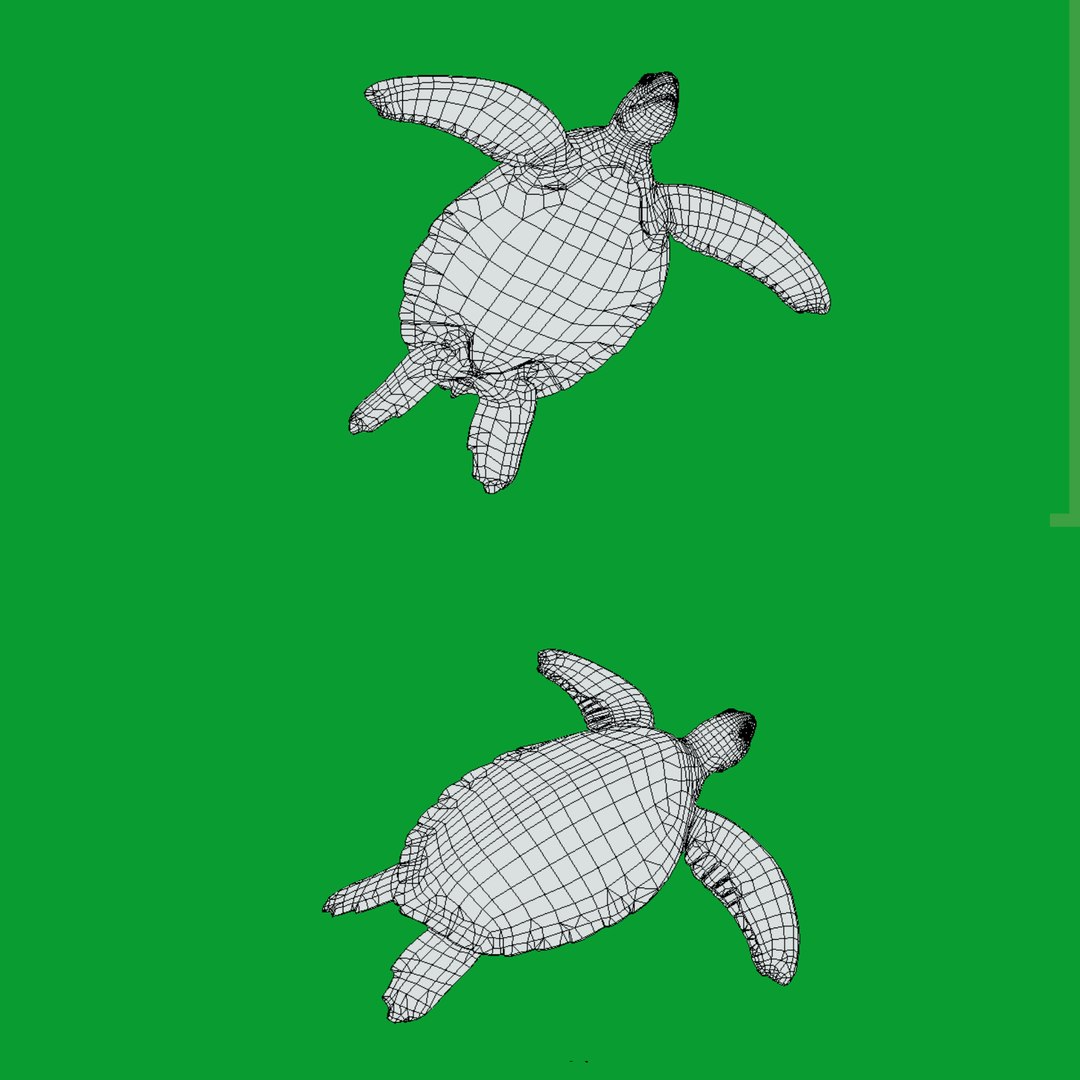 3D Marine Animals Pack https://p.turbosquid.com/ts-thumb/2r/iWFIce/T5/wire/png/1737246111/1920x1080/fit_q87/e06b577c1b2b9d54b0129d79ffaa2985df3feaaa/wire.jpg