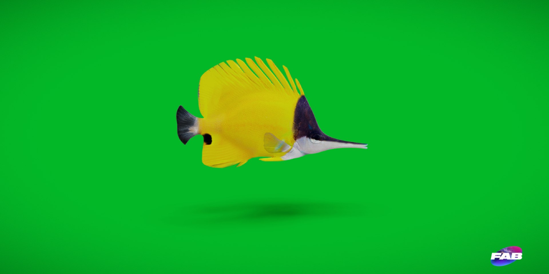3D Marine Animals Pack https://p.turbosquid.com/ts-thumb/2r/iWFIce/U6/butterflyfishcopy/png/1741188107/1920x1080/fit_q87/be9a71b5881ba5d5834d3040134af51c4e1ed0b6/butterflyfishcopy.jpg
