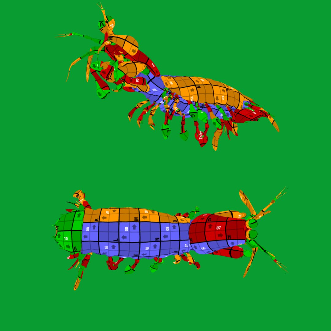 3D Marine Animals Pack https://p.turbosquid.com/ts-thumb/2r/iWFIce/Ua/uv/png/1738893474/1920x1080/fit_q87/f27d2f6822137db1e062c777caae11d6b25b0a0b/uv.jpg