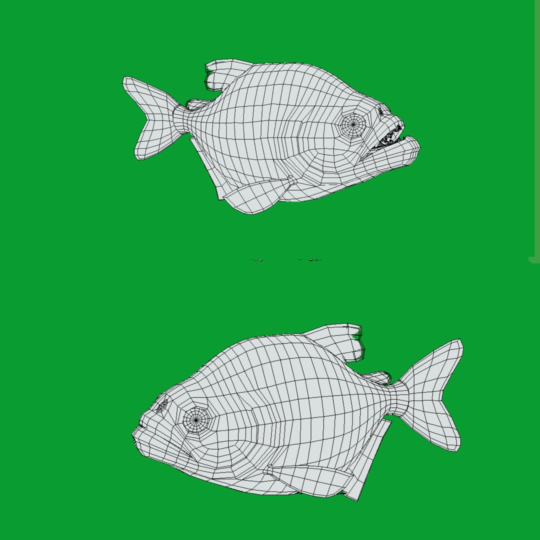 3D Marine Animals Pack https://p.turbosquid.com/ts-thumb/2r/iWFIce/ZS/wire/png/1737398965/1920x1080/fit_q87/f720c31bcf349be591c27f208b32dbd3b09a4224/wire.jpg