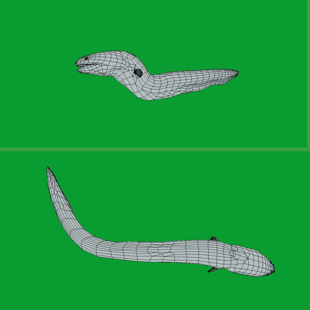 3D Marine Animals Pack https://p.turbosquid.com/ts-thumb/2r/iWFIce/b4/wire/png/1737062197/1920x1080/fit_q87/67dbae999bcbf56a0d83901a5505a651d21af9b5/wire.jpg