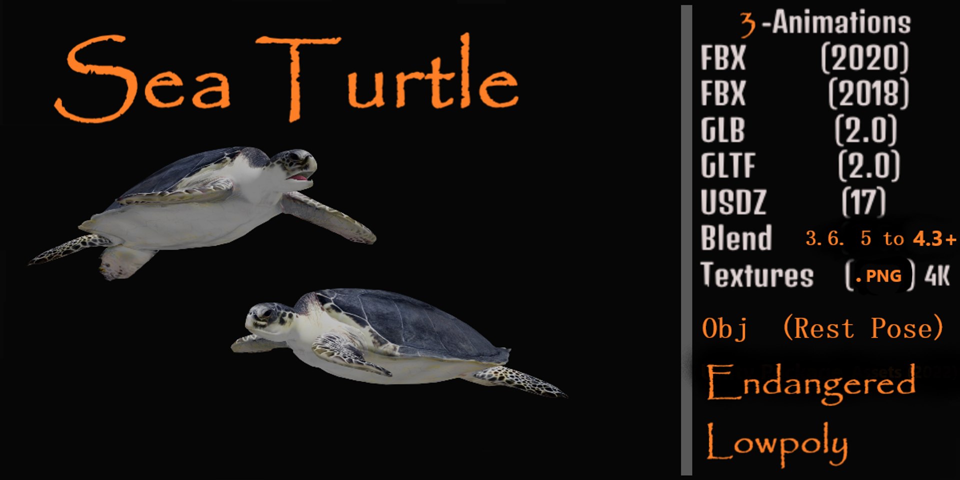 3D Marine Animals Pack https://p.turbosquid.com/ts-thumb/2r/iWFIce/dO/sea_turtle/png/1737888391/1920x1080/fit_q87/a514dbf562738a659dbbc372d60cb8fb3b3c8cee/sea_turtle.jpg